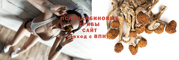 spice Армянск