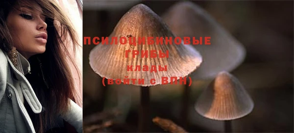 spice Армянск
