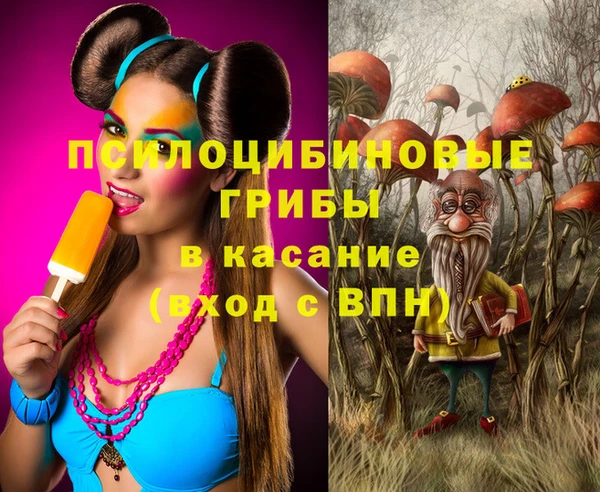 PSILOCYBIN Арсеньев